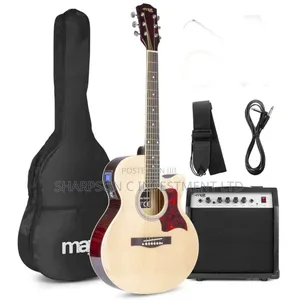 Lectric Acoustic Guitar 40w Amplifier Built-in Tuner Eq Digital Tuner