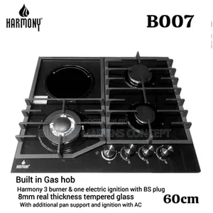 3 Burner and 1 Hotplate Ignition