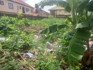 Half Plot Of Land Maplewood Estate Cofo