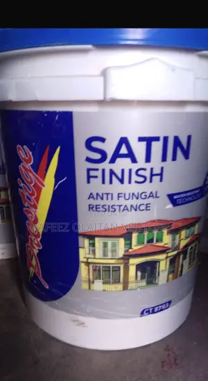 Satin Paint Finish Anti Fungal Resistance