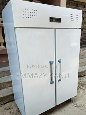 Quality Industrial Stainless Freezer
