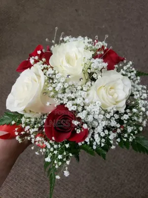 Fresh Rose Flowers