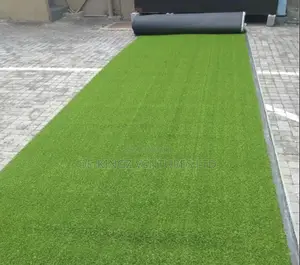 Carpet Grass Like No Other