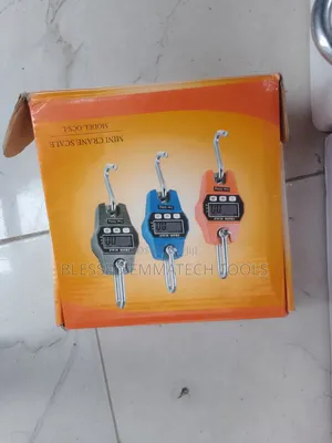 Crane 300kg Digital Hanging Scale