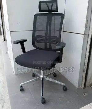 Mesh Ergonomic Office Chair