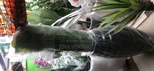 Artificial Flower and Pot Set