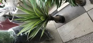 Artificial Flower/Plant