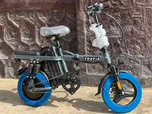 Electric Bicycle Lithium Battery 48v 15a