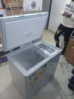 Eco-Friendly Chest Freezer – Skyrun Bd155hnw