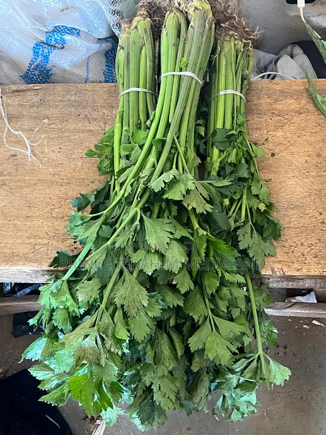 Fresh Celery