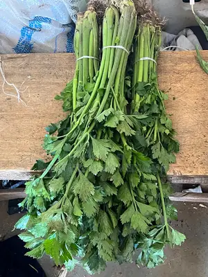 Fresh Celery