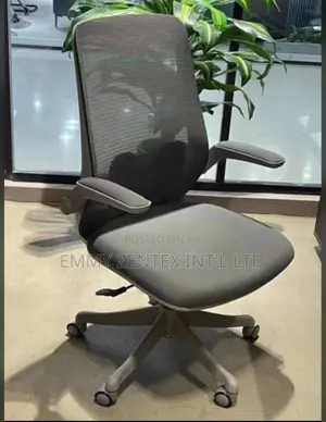 Adjustable Hand Executive Office Chair