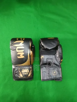 Boxing Gloves Venum