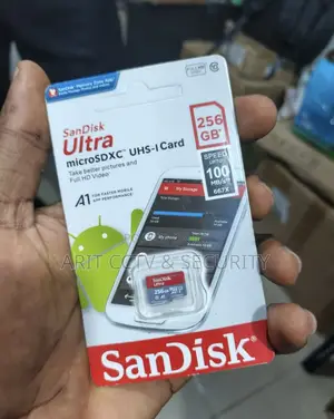 Sandisk 256gb Memorycard