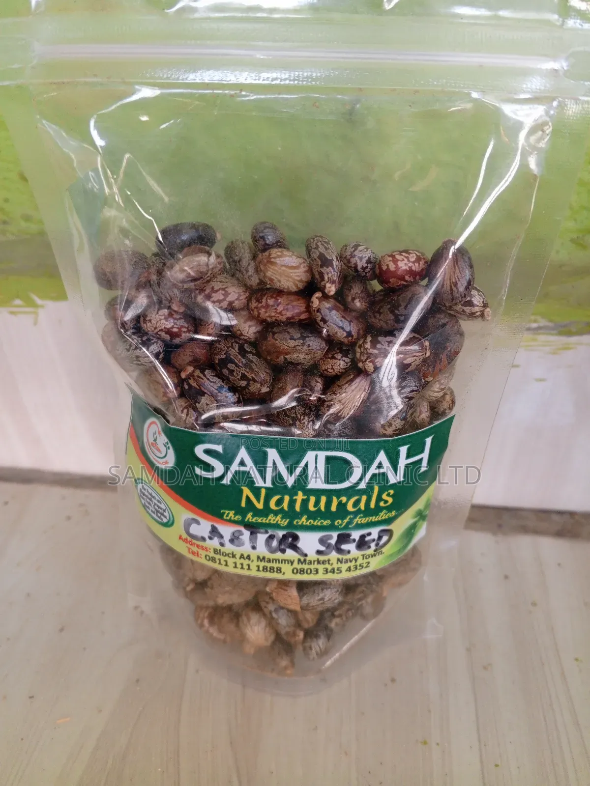 Castor Seed