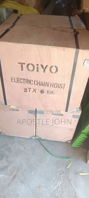 Electric Chain Hoist 2 Ton