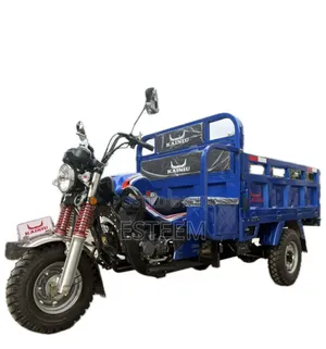 New Tricycle 2024 Blue