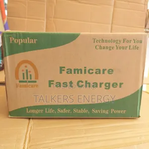 Famicare 30a Fast Battery Charger 12v/24v