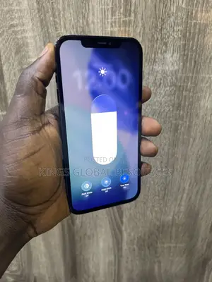 Apple iPhone 12 Pro Max 256 GB Blue