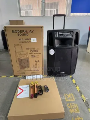 18 Inches Modernday Public Address System Model No MLG 1839 Kb