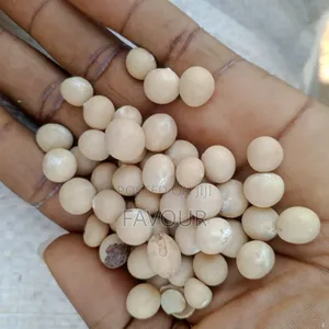 Okpa (Bambara Nut) Akidi Black