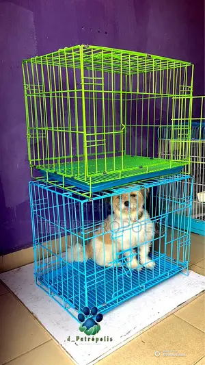 Collapsible Dog Cage All Sizes