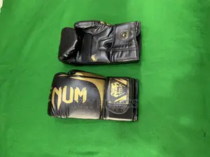 New Venum Boxing Gloves