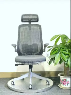 Ergonomic Swivel Office Chair