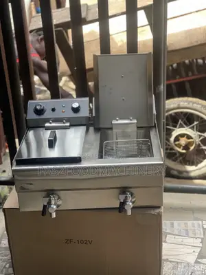 Electric Deep Fryer Double Tank With Tap