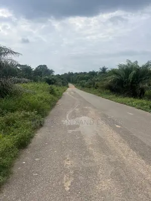 Land for Sale Along Ijebu Igbo Owu Road 1000 Acres