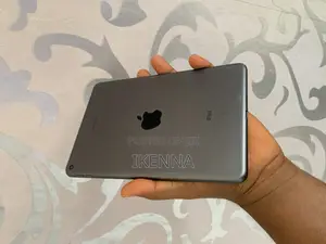 Apple iPad mini 5 64 GB Gray