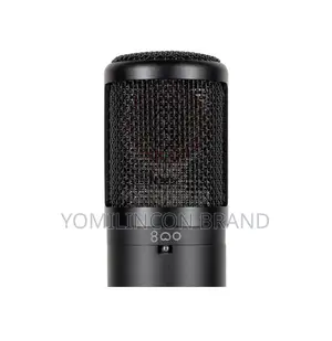 Se Electronics Se2300 Studio Condenser Microphone With Switchablepolar