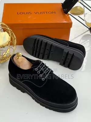 Louis Vuitton Suede Shoe