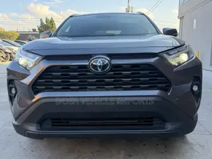 Toyota RAV4 XLE Premium AWD 2024 Gray