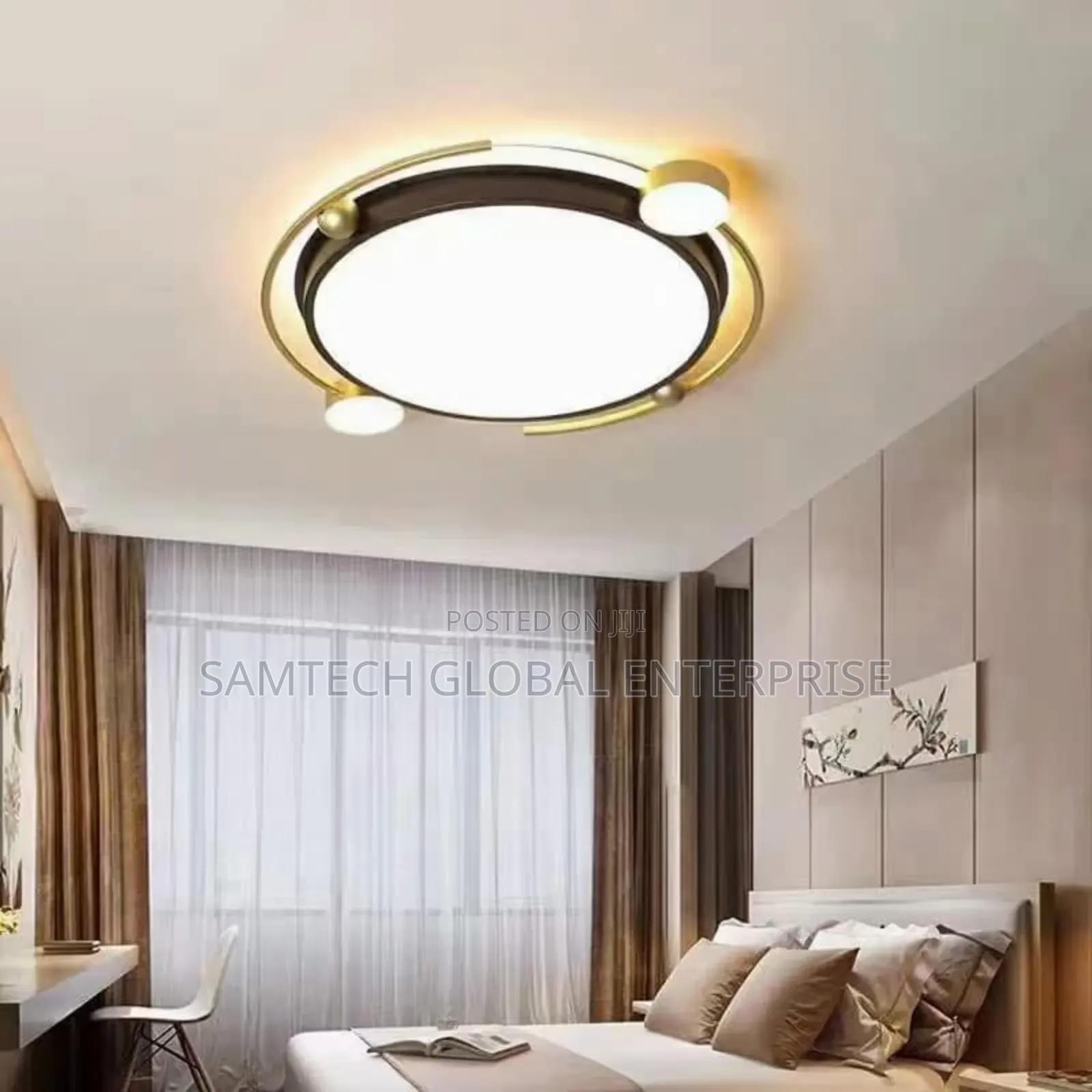 Modern Ceiling Light