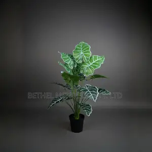 Artificial Alocasia Amazonica Plant 75cm – Lifelike Faux Décor