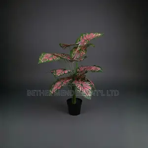 Artificial Angel Wings Plant 75cm – Elegant Faux Greenery