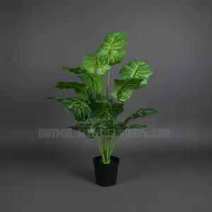 Artificial Alocasia Macrorrhizos 75cm – Realistic Faux Plant