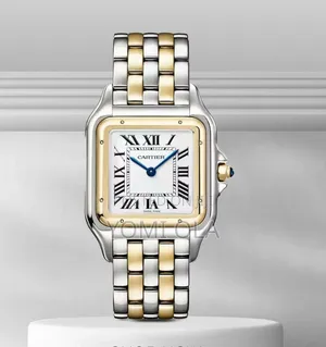 Cartier Panthere Two-Tone Ladies