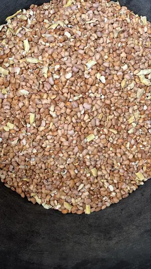 Brown Beans