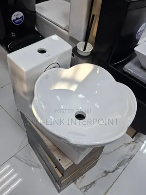 Wall Hung Basin and Pedestal