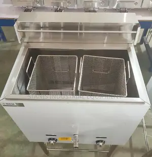 Double Tank Deep Fryer
