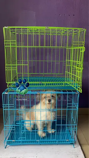 Pet Dog and Cat Cage