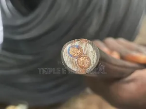 10mm 2 Core Flexible Cable