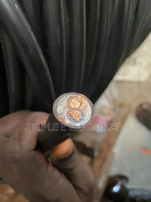 10mm 2 Core Flexible Cable