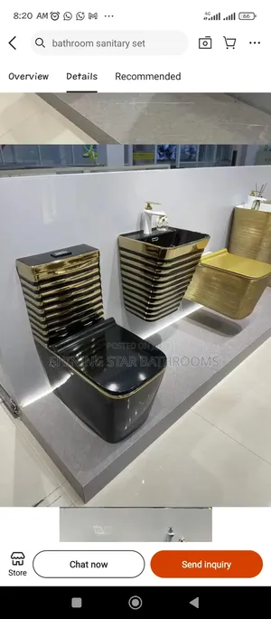 Executive Gold Stripe Toilet Set With Basin