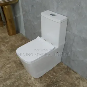 Square Executive Toilet Set With Basin