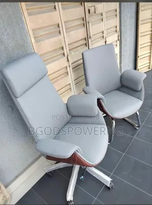 Executive Office Chair Both Swivel and Visitors