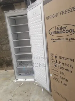 Frost-Free Upright Freezer by Haier Thermocool