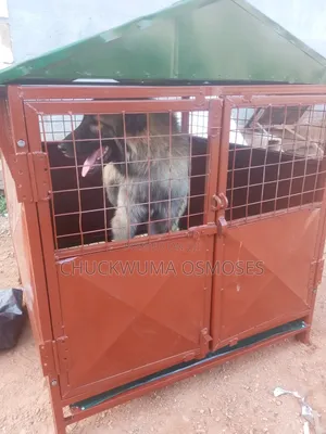 Solid Dog Cage